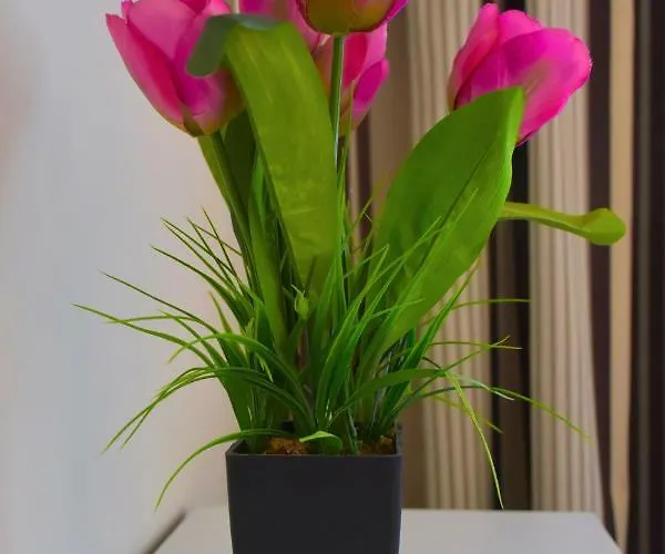 Apartment Fuerteventura Sol