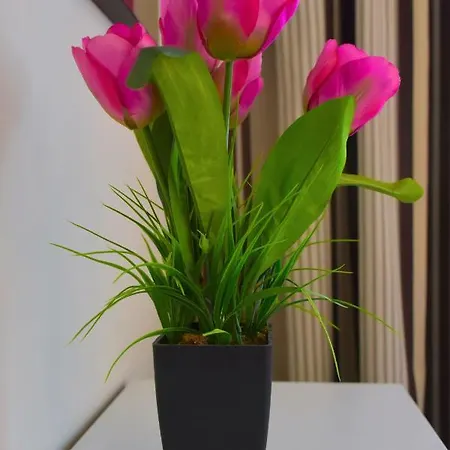 Apartmán Fuerteventura Sol